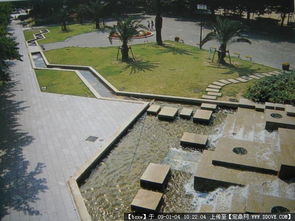 園林景觀 從圖片瀏覽到綠化養(yǎng)護(hù)的全面指南