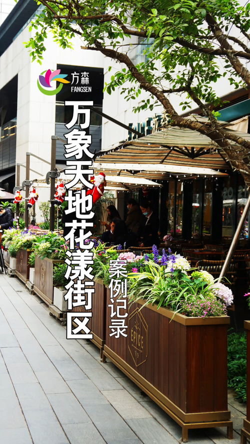 深圳南山萬象天地花漾街區(qū) 園林綠化與花境設(shè)計的典范