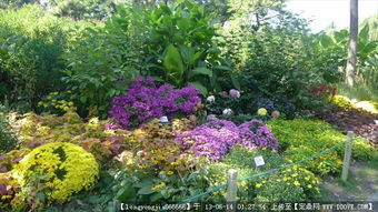 綠化園林景觀設(shè)計與養(yǎng)護(hù) 從圖紙到實景的全方位指南