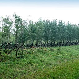 中邦園林兩項工程榮膺2018年度中國園林綠化優(yōu)秀施工項目及綠化養(yǎng)護(hù)榮譽