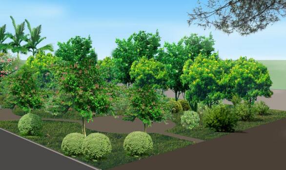 城市園林綠化工程施工中的植物養(yǎng)護(hù)策略