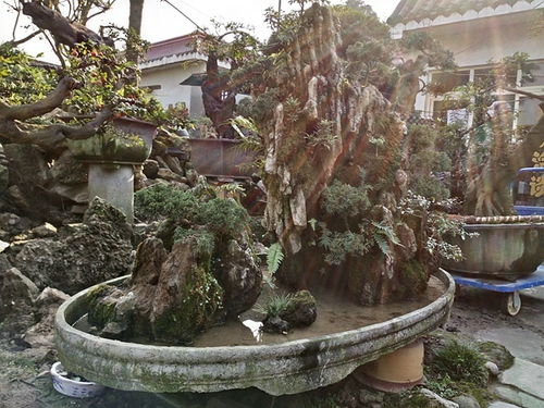 成都市光和園林藝術有限責任公司 專業園林綠化設計與施工服務