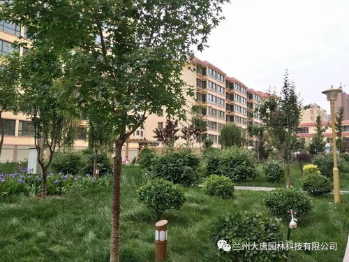 臨洮怡康苑住宅小區(qū)園林景觀綠化工程綠化養(yǎng)護(hù)方案