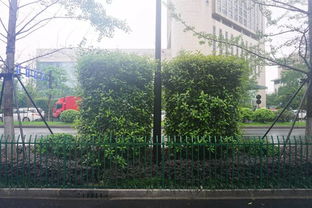 匠心筑綠，典范引航——杭州市2016年度優(yōu)秀園林綠化工程特色項(xiàng)目觀摩活動(dòng)側(cè)記