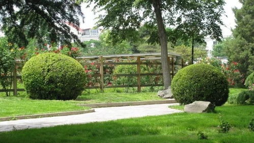 園林綠化龍企業雙線并進 擴大內需掘金主業，進軍光伏開辟新賽道