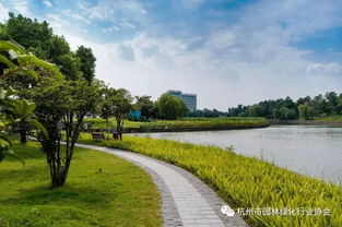 匠心筑景，綠韻迎賓——記2016年度杭州市優(yōu)秀園林綠化工程道路組金獎(jiǎng)項(xiàng)目 杭州蕭山國(guó)際機(jī)場(chǎng)迎賓專用道路及環(huán)境提升工程景觀綠化與養(yǎng)護(hù)