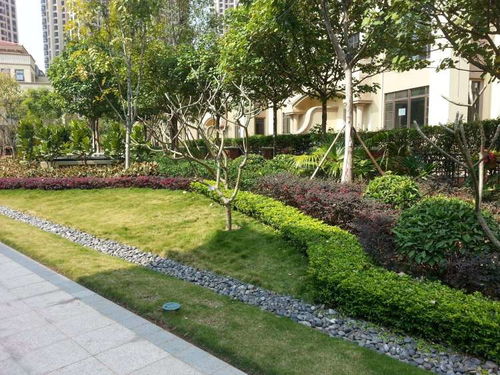 沈陽(yáng)遼中區(qū)綠化養(yǎng)護(hù)費(fèi)用與園林綠化工程施工的綜合解析