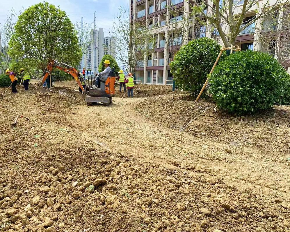 專業綠化，匠心養護 讓園林之美歷久彌新