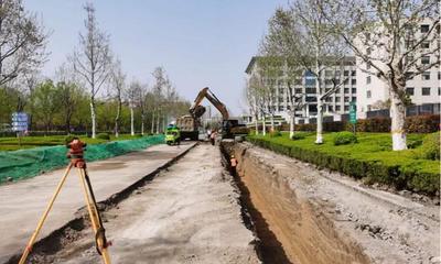 29條道路、55個小區改造！坊子區雨污分流改造工程全面啟動，同步推進精細化綠化養護